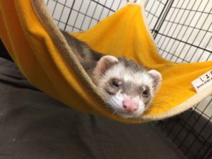 子どもが喜ぶ遊び紹介-バスタオルでハンモック