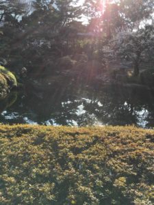 庭園美術館の日本庭園、池