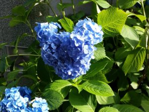 2歳3か月の娘と父娘2人きりのディズニーシーデート